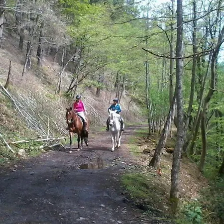 Muntteigoiko Chalet Legazpia
