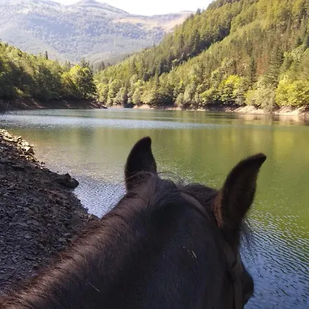 Alpesi faház Muntteigoiko