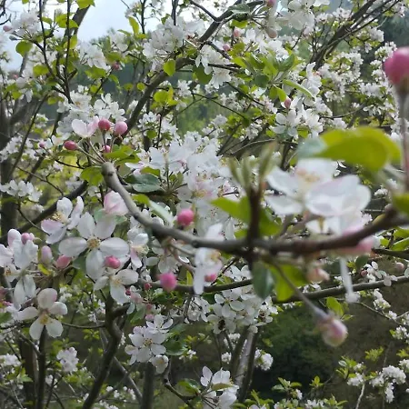 Alpesi faház Muntteigoiko