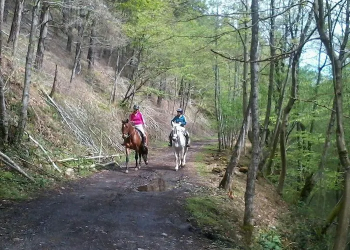 Muntteigoiko Chalet Legazpia